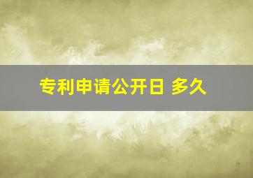 专利申请公开日 多久